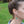 Makani Earrings